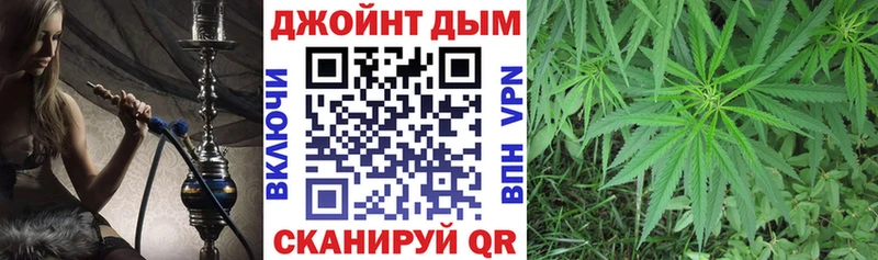 Купить  Зеленоградск  Конопля гибрид 